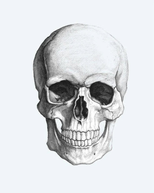 Tatuaje semi-permanente Calavera Realista diseño de INKON – ilustración de anatómicamente, humano, calavera, lápiz, boceto, 4 x 7 in (10x17cm), disponible en inkon.co