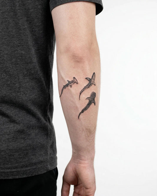 INKON Tres Tiburones tatuaje semi-permanente aplicado en un hombre – diseño de 4 x 4 in (9x9cm), apariencia de tinta realista, dura 10 días