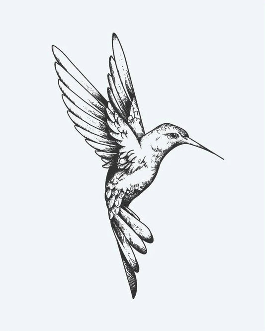 Tatuaje semi-permanente Colibrí diseño de INKON – ilustración de hermosamente, colibrí, vuelo, finamente, grabado, 3 x 4 in (6x11cm), disponible en inkon.co