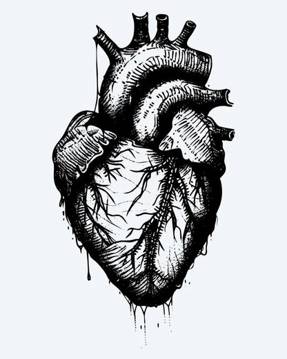 Tatuaje semi-permanente Corazón Anatómico diseño de INKON – ilustración de anatómico, humano, corazón, goteando, efecto, 4 x 4 in (9x9cm), disponible en inkon.co